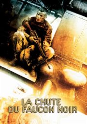 La Chute du faucon noir