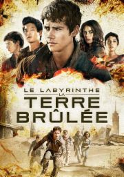 Le Labyrinthe : La Terre br&ucirc;l&eacute;e